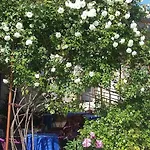 Guest House Uzhgorod *
