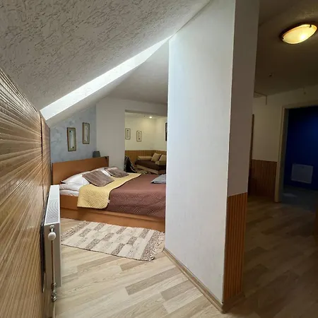 Guest House Uzhgorod *