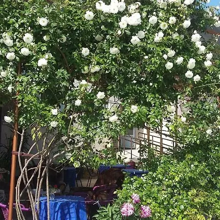 Guest House Uzhgorod *