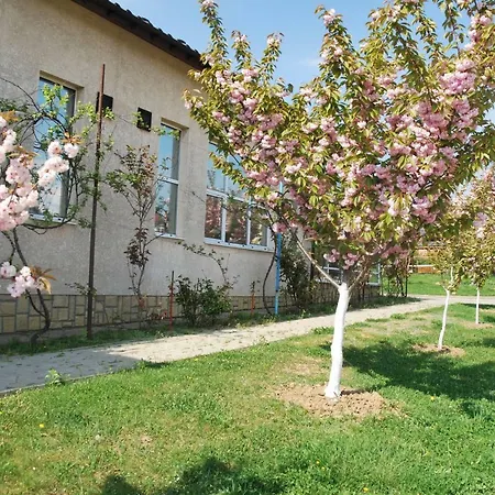 Guest House Uzhgorod