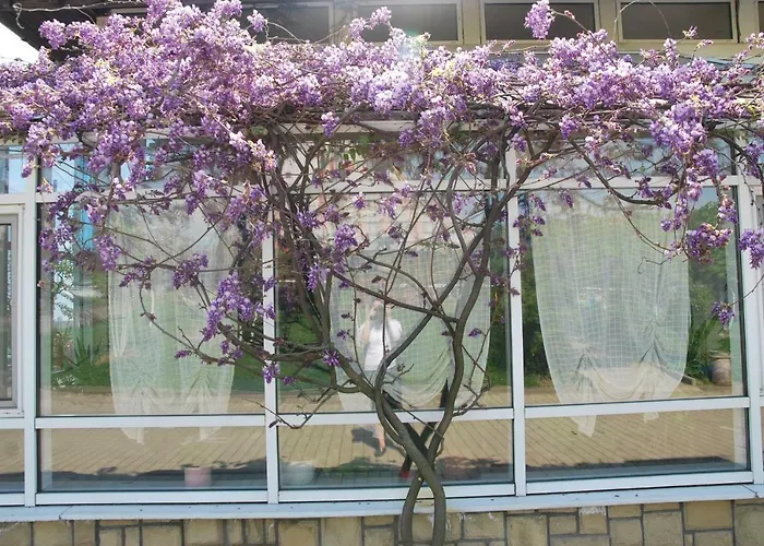 Guest House Uzhgorod * 우주고로트